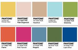 Pantone's Colors of the Year 2017 can be found in many gardens.